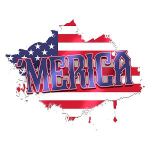 America 2 DTF Transfers