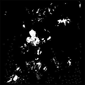 Paint Splatter DTF Transfers