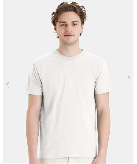 Hanes Perfect-T T-Shirts